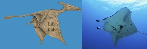 Long-tailed pterosaur of Cuba (left) and photo of a Manta ray fish (right)