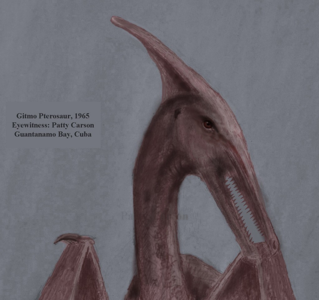 Gitmo Pterosaur may be related to creatures around Marfa, Texas